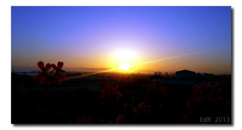 IMG_20130518_195144.jpg image