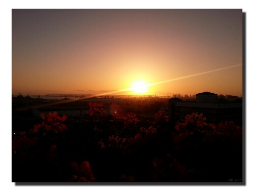 IMG_20130518_195502.jpg image