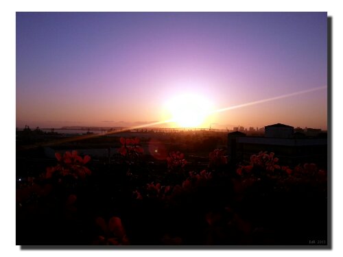 IMG_20130518_200102.jpg image