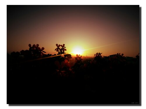 IMG_20130518_201532.jpg image