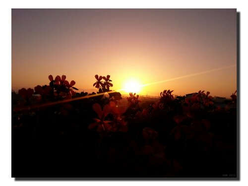 IMG_20130518_201839.jpg image