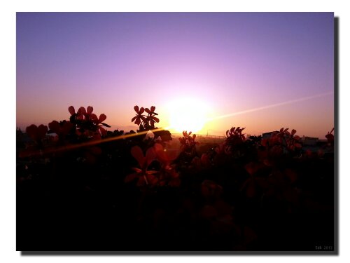 IMG_20130518_202046.jpg image