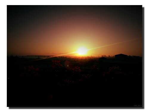 IMG_20130518_203851.jpg image