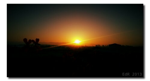 IMG_20130518_204921.jpg image