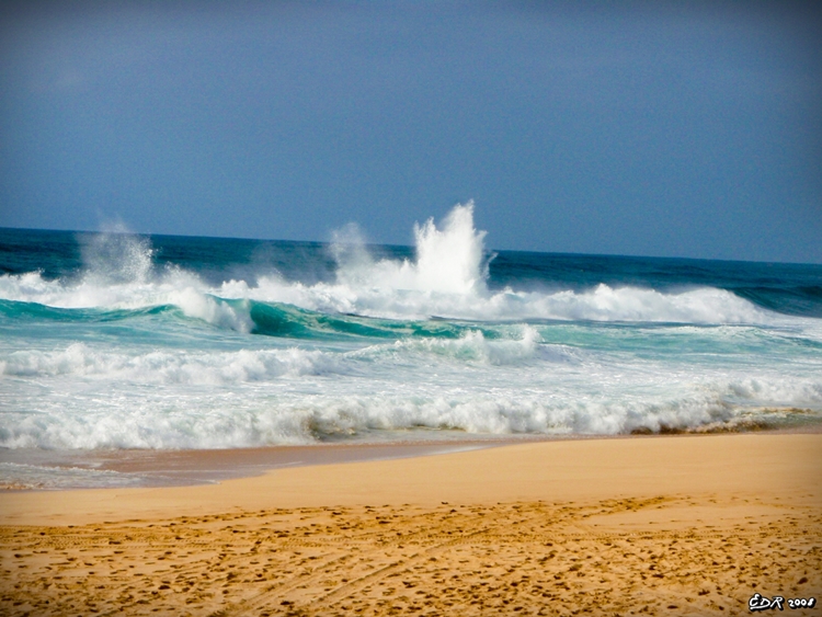 _sig_ehukai_beach