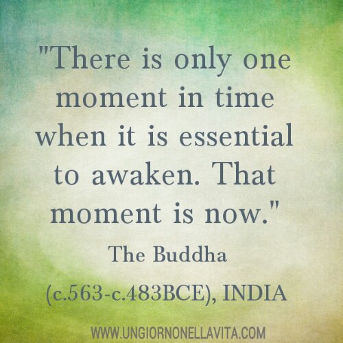 IMG_20130831_104724.jpg image