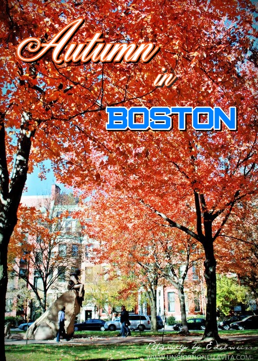 Autumn in Boston