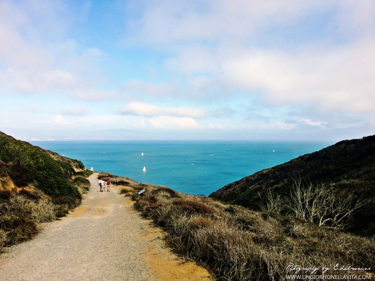 This photo was taken while hiking at Bayside Trail in Point Loma (SD, CA).