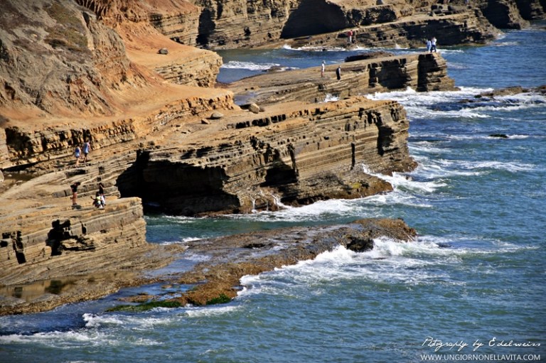 Tidepools at Cabrillo National Monument in Point Loma. (San Diego, CA)