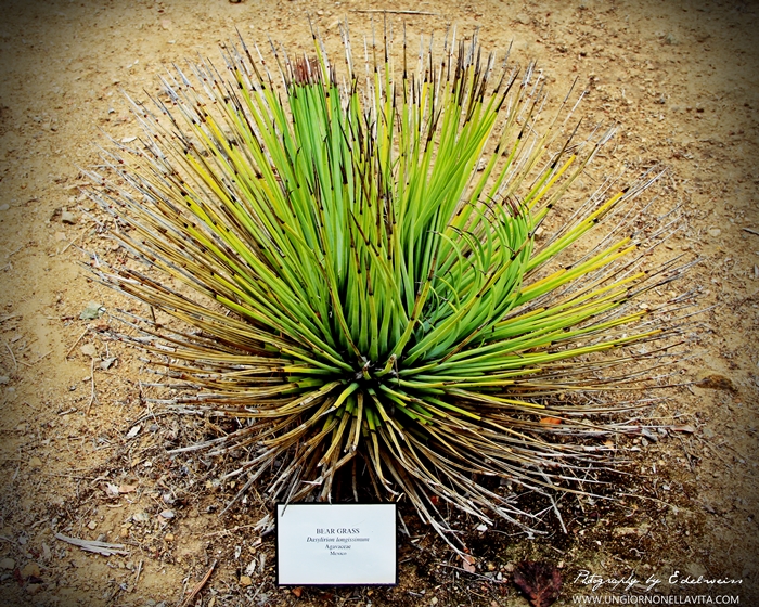 For some reason the color of this one is much lighter than the others.