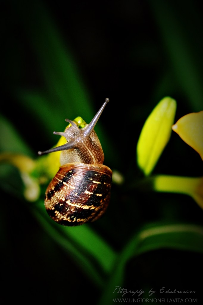 Weekly Photo Challenge: Depth