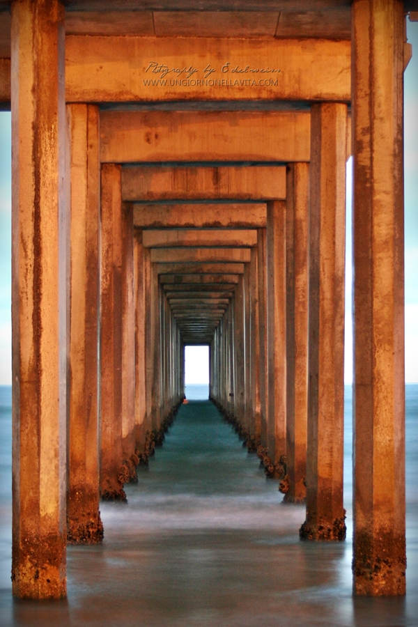 Weekly Photo Challenge: Symmetry