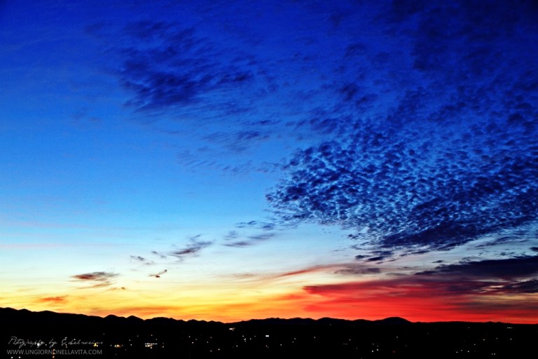 Weekly Photo Challenge: Early Bird